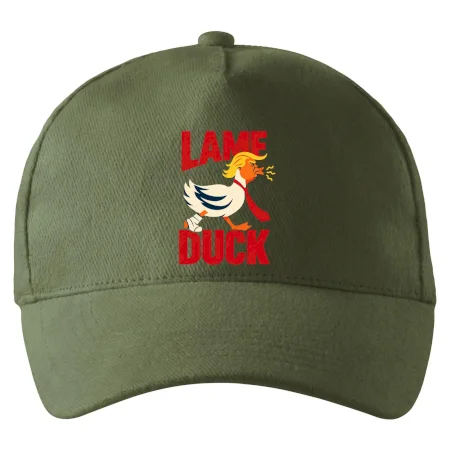 Donald Trump minimalistická kachna