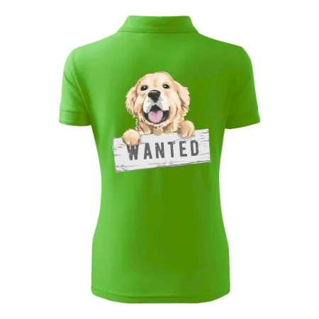 Zlatý retriever - šteniatko wanted