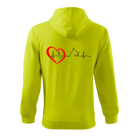 Nemecký ovčiak ekg
