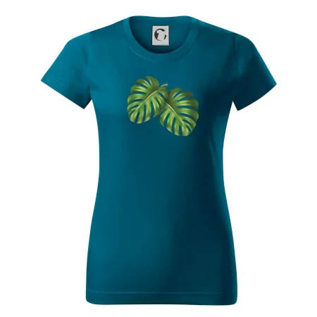 Monstera - dva listy