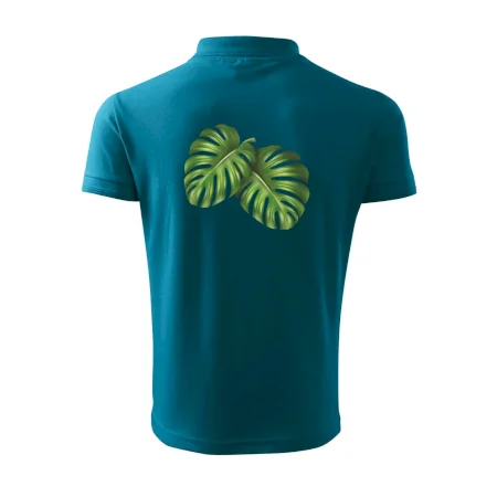 Monstera - dva listy