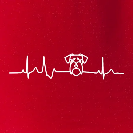 Ekg bradáč hlava
