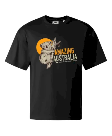 Amazing Australia koala