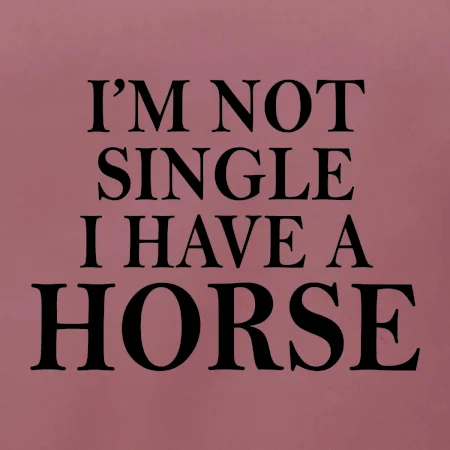 I have a horse