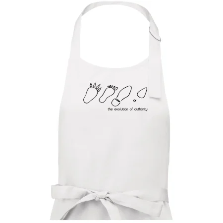 Evolution of authority