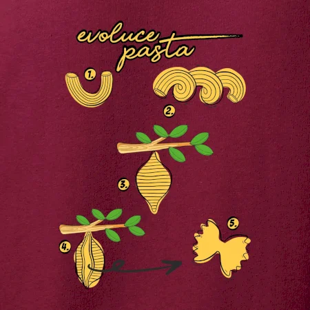 Evoluce pasta