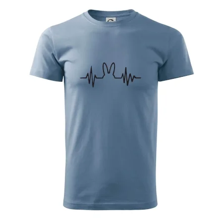 EKG zajac