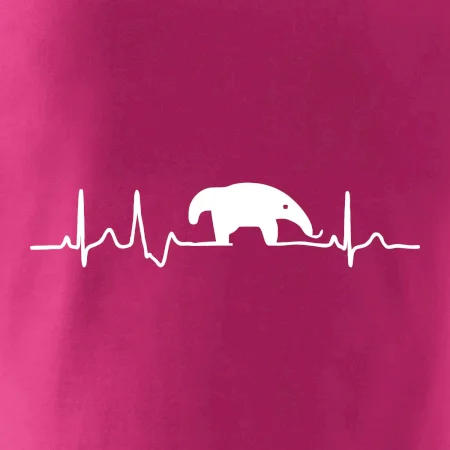 Mravčiar EKG