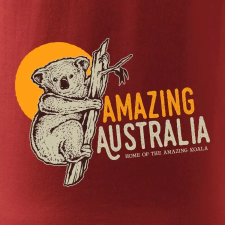 Amazing Australia koala