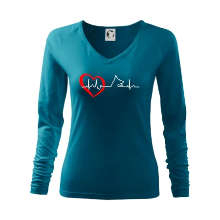 Nemecký ovčiak ekg