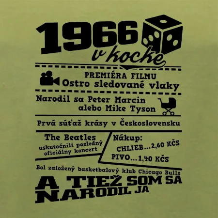 1966 v kocke