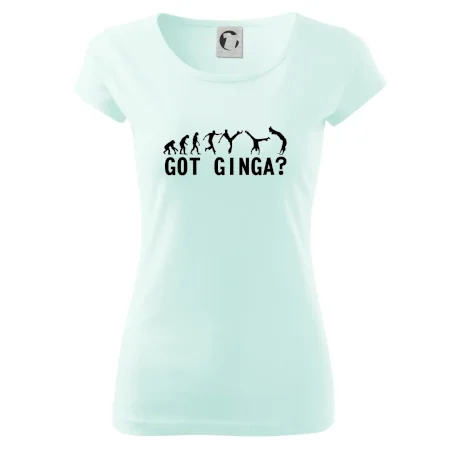 Capoeira - Got Ginga