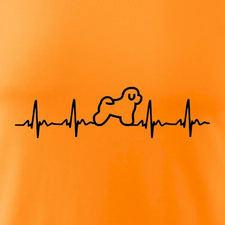 Bišónik ekg