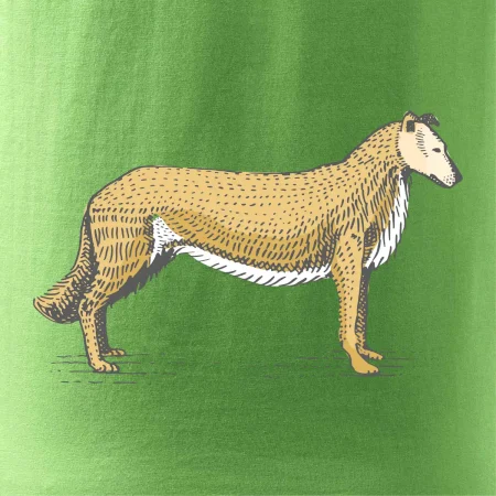 Vintage Collie