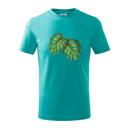 Monstera - dva listy