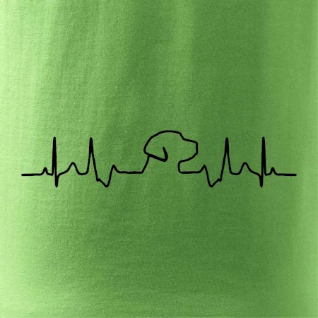 Labradorský retriever‎ EKG