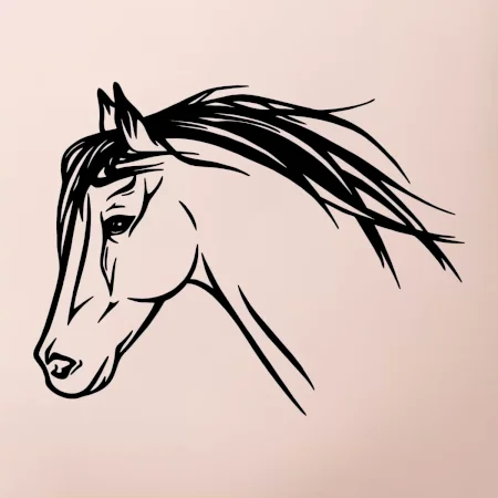 Kôň - hlava celá