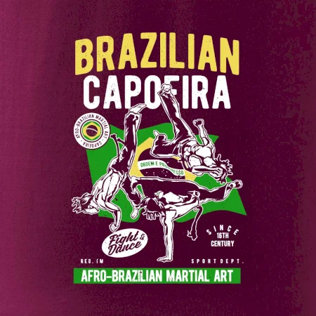 Brazilian Capoeira