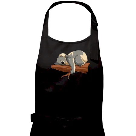 Koala na vetve