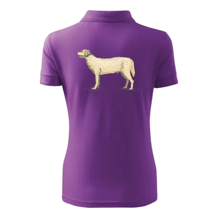 Vintage Labrador