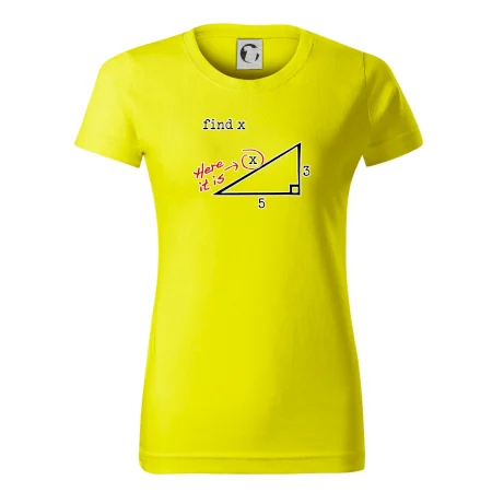 Find X - geometria