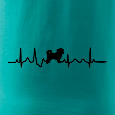 Havanský psík ekg