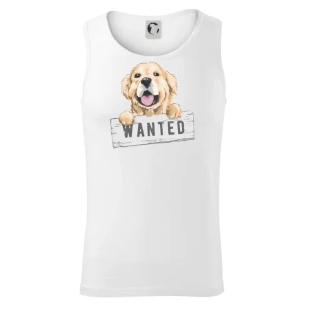 Zlatý retriever - šteniatko wanted