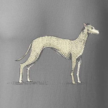 Vintage Whippet