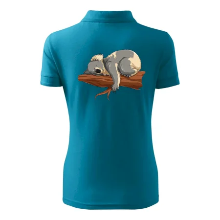 Koala na vetve