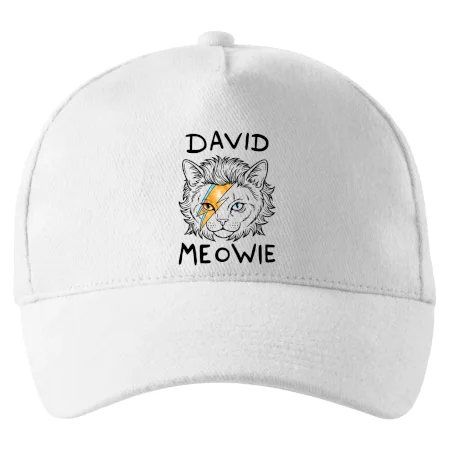 David Meowie