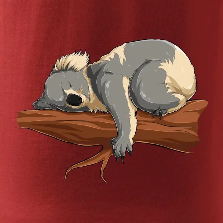 Koala na vetve