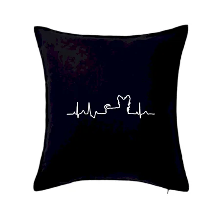 Yorkshirský teriér EKG