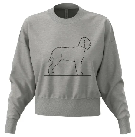 Lagotto romagnolo stojaci