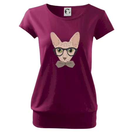 Hipster sphynx