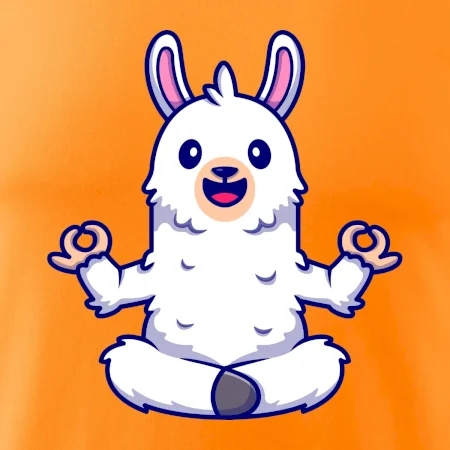 Yoga meditácie - lama