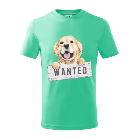 Zlatý retriever - šteniatko wanted
