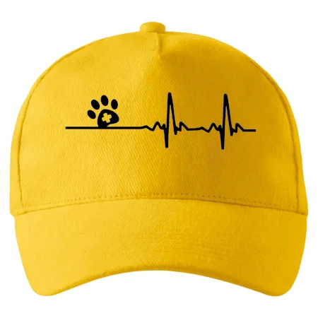 Veterinár EKG