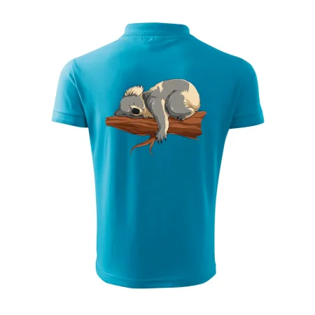 Koala na vetve