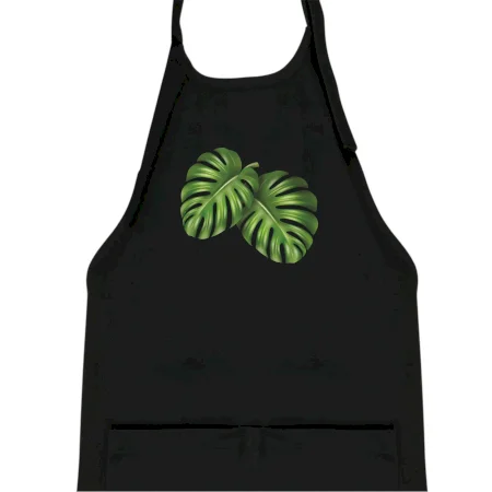 Monstera - dva listy