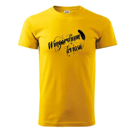 Harry - Wingardium Leviosa