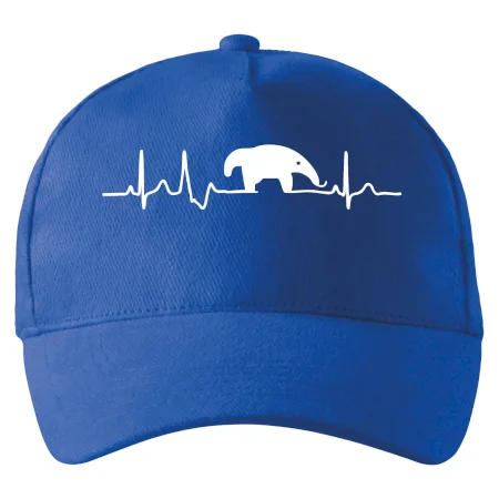 Mravčiar EKG