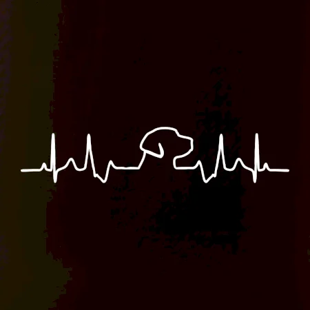 Labradorský retriever‎ EKG