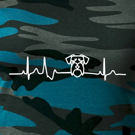 Ekg bradáč hlava