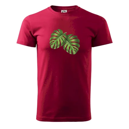Monstera - dva listy