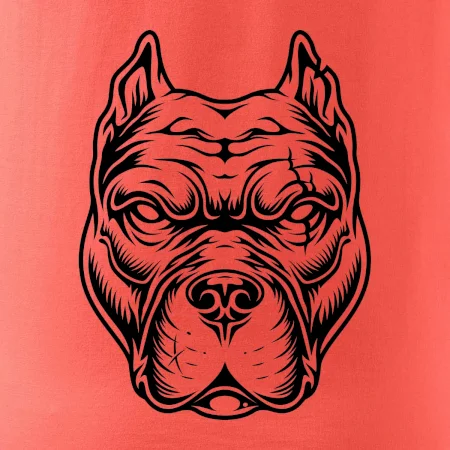 Americký stafordšírsky teriér hlava