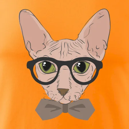 Hipster sphynx