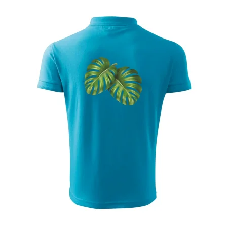 Monstera - dva listy