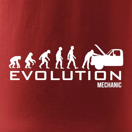 Evolúcia mechanik