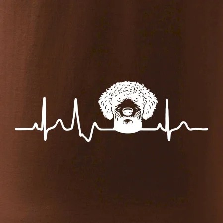 Lagotto romagnolo hlava EKG