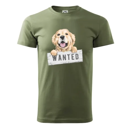 Zlatý retriever - šteniatko wanted